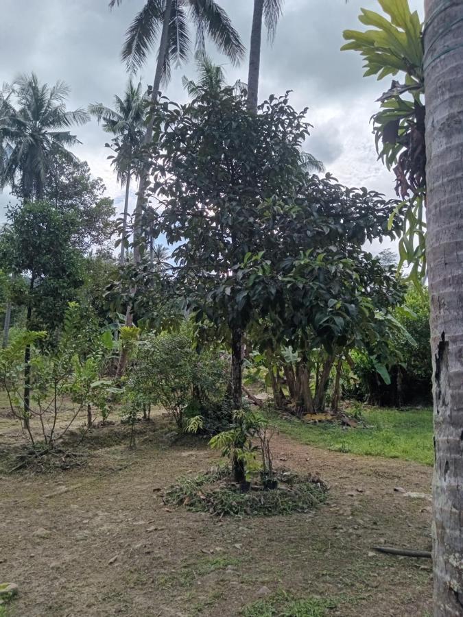 Chom Suan Farmstay Ko Kut Buitenkant foto