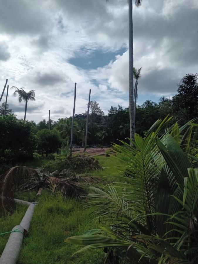 Chom Suan Farmstay Ko Kut Buitenkant foto